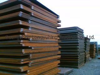 Placa de esmalte/plato de arroz portátil de buena calidad con calcomanía de flor hermosa 14